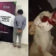 Detienen a joven de 20 años por disparar con una gomera al perro de su vecina