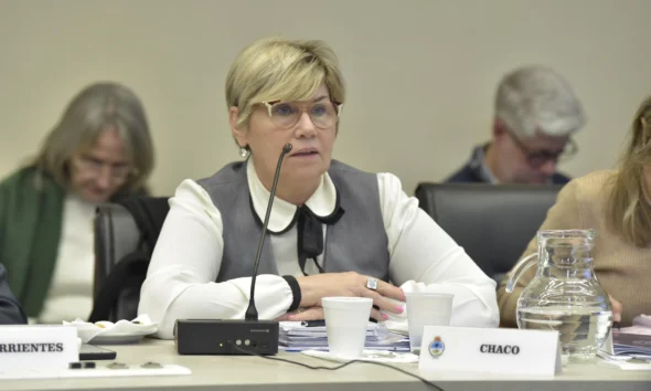 Naidenoff fue elegida vicepresidenta del Consejo Federal de Educación y presentó nuevos marcos técnicos