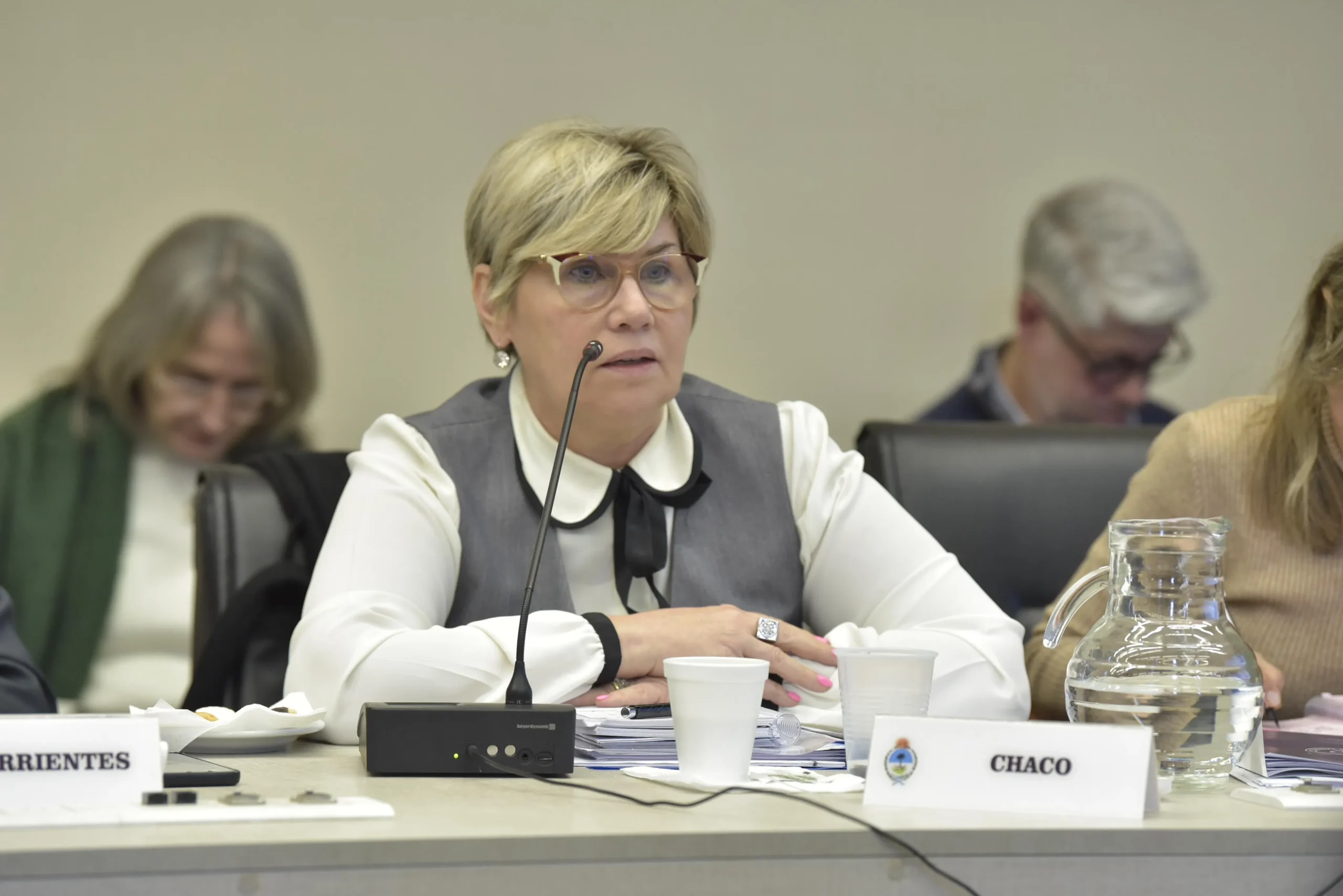 Naidenoff fue elegida vicepresidenta del Consejo Federal de Educación y presentó nuevos marcos técnicos 38 Naidenoff fue elegida vicepresidenta del Consejo Federal de Educación y presentó nuevos marcos técnicos