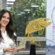 Isla del Cerrito se prepara para el Torneo Internacional de Pesca del Dorado con Devolución 48 Isla del Cerrito se prepara para el Torneo Internacional de Pesca del Dorado con Devolución