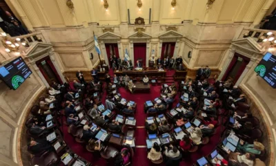 El Senado rechazó el veto de Milei a la ley de Emergencia en Discapacidad y ahora deberá ser promulgada