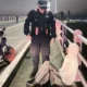 Puente interprovincial: agentes impidieron que un joven se tire al río Paraná