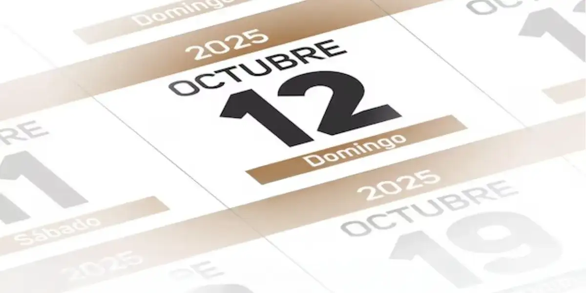 El Gobierno oficializó el traslado del feriado del domingo 12 de octubre 38 feriado 12 de octubre