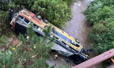 Tragedia en Misiones: un micro cayó a un arroyo y provocó al menos cinco muertes