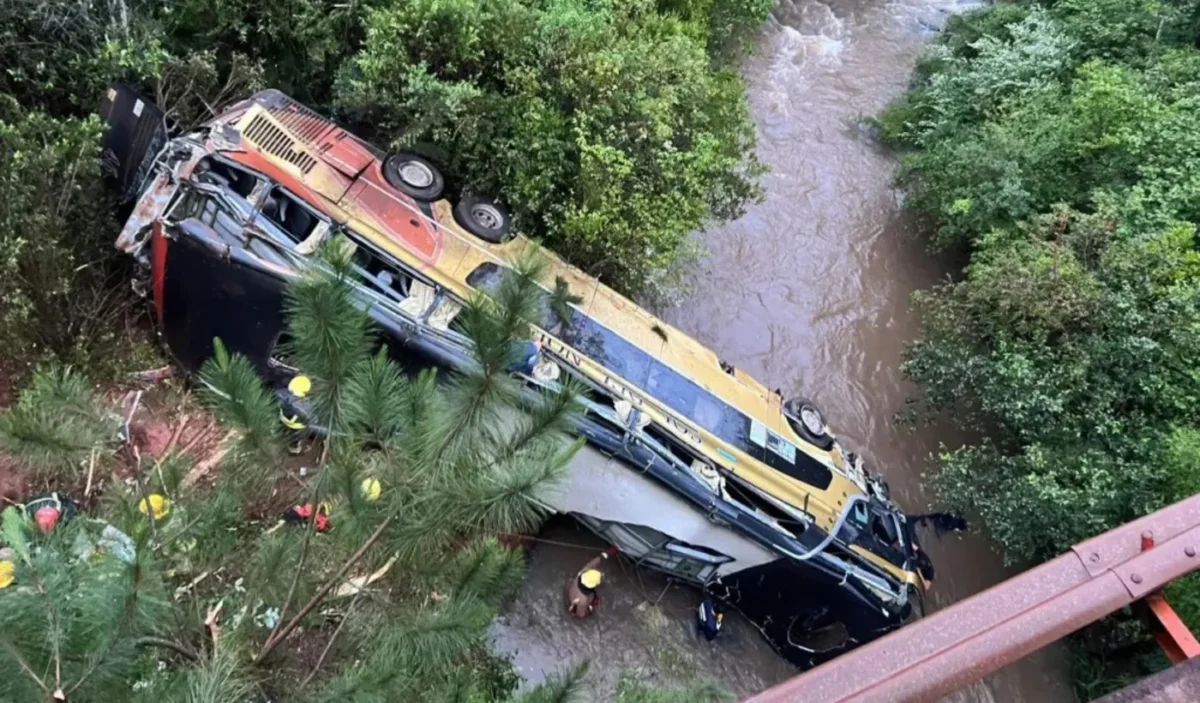 Tragedia en Misiones: un micro cayó a un arroyo y provocó al menos cinco muertes 36 Tragedia en Misiones: un micro cayó a un arroyo y provocó al menos cinco muertes