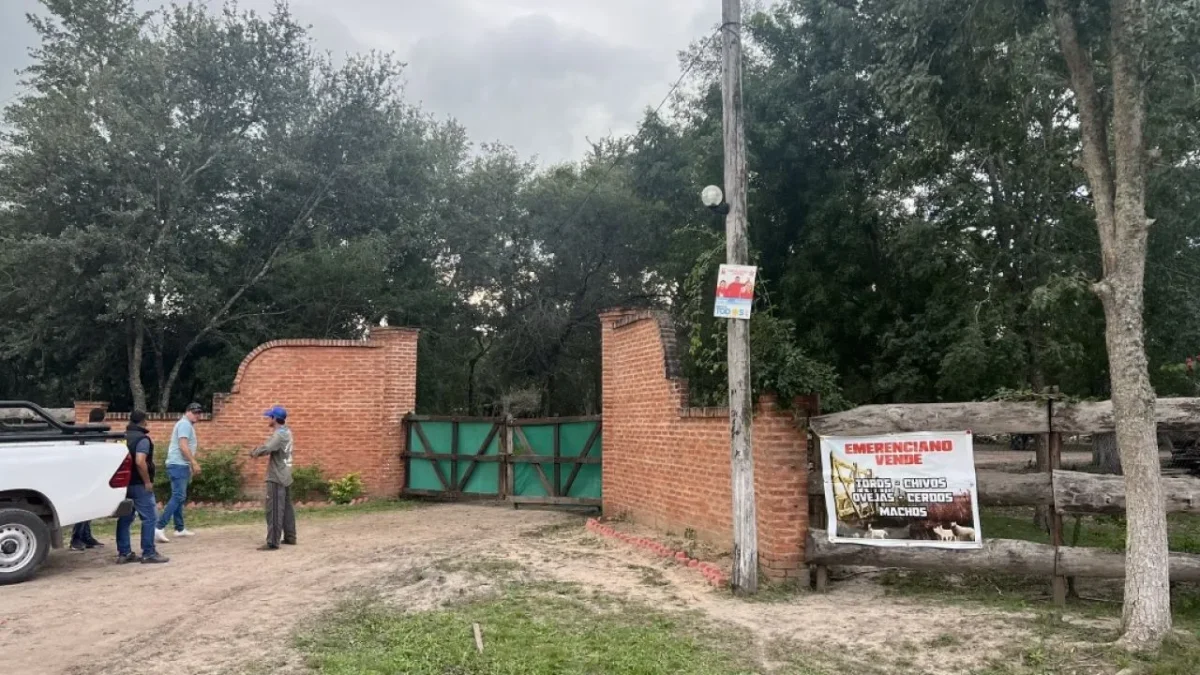 El Gobierno presentará el proyecto de expropiación de la chanchería vinculada al Clan Sena 36 El Gobierno presentará el proyecto de expropiación de la chanchería vinculada al Clan Sena
