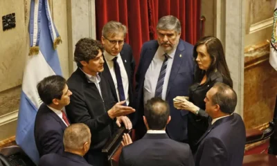 El Senado busca asegurar el financiamiento de universidades y hospitales pediátricos