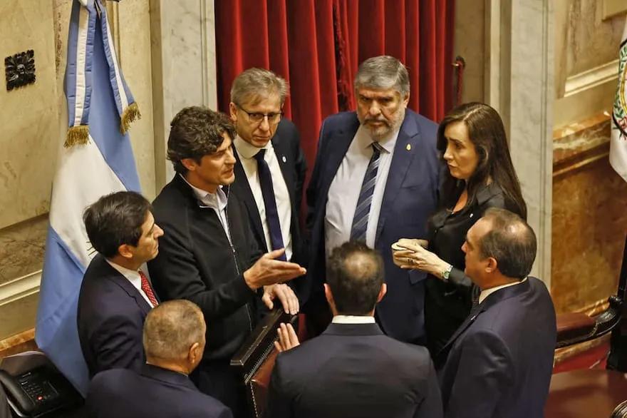 Senado: la oposición busca rechazar los vetos de Milei al financiamiento del Garrahan y las Universidades 36 El Senado busca asegurar el financiamiento de universidades y hospitales pediátricos