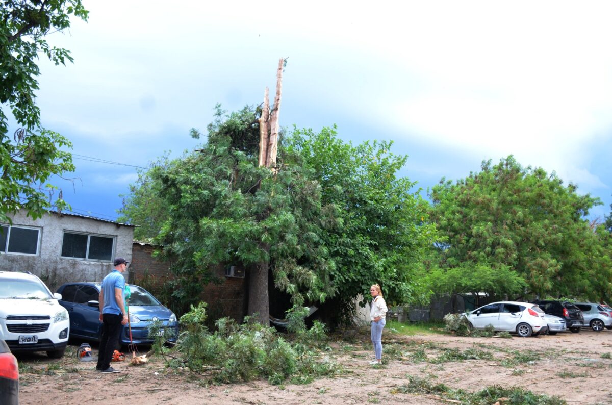 Cayó un rayo sobre un árbol en el estacionamiento del Pediátrico