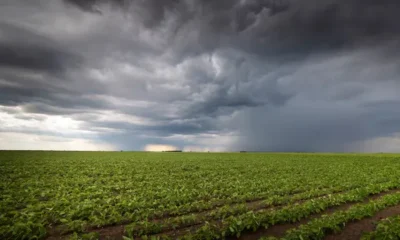 Nación volvió a defender la baja de la edad de imputabilidad: Debería ser de 12 años