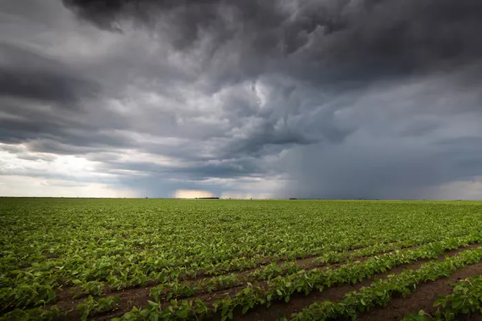 Nación volvió a defender la baja de la edad de imputabilidad: Debería ser de 12 años