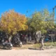 Conmoción en Resistencia: Encuentran el cuerpo de una mujer calcinada en el patio de su casa